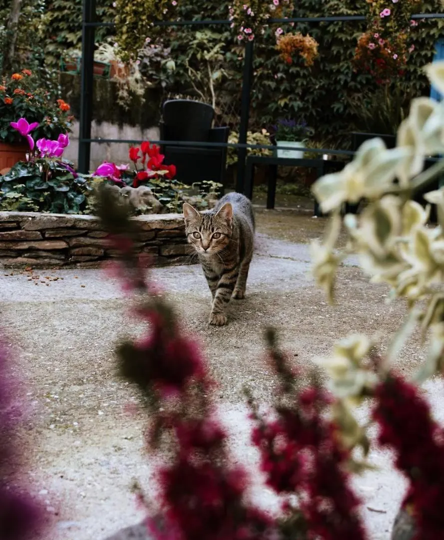 B&B San Francesco Oliena